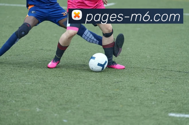 M6体育注册平台生态图