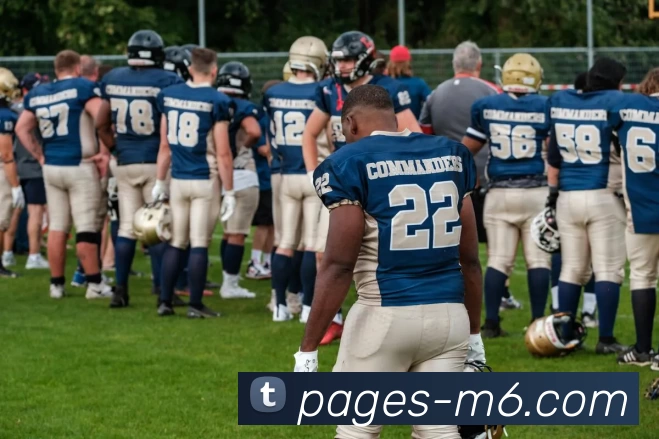 M6体育注册APP 封面图